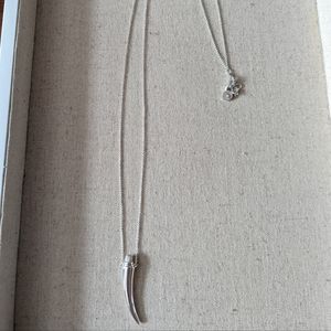 Stella and Dot Horn Necklace